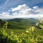 Profumo divino: sentieri piemontesi