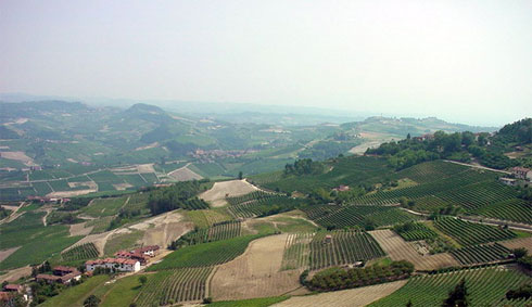 Piemonte, terra di Barolo, vino DOCG