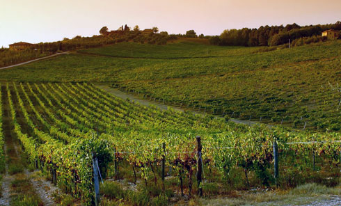 Chianti, vino della Toscana