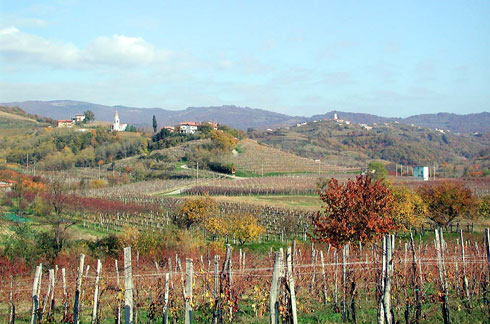 Foto del Collio, in Friuli Venezia Giulia