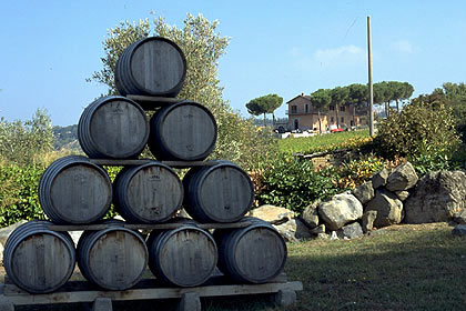 Produzione di Vino in Lazio