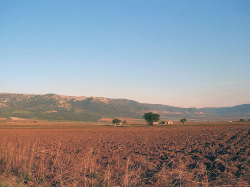 Paesaggio del Tavoliere delle Puglie