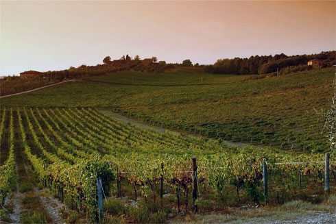 Colline in Toscana