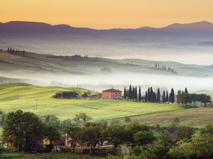 vini-toscana