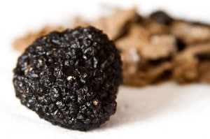 tartufo-nero-vino