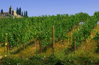 Sonoma County siti di incontri